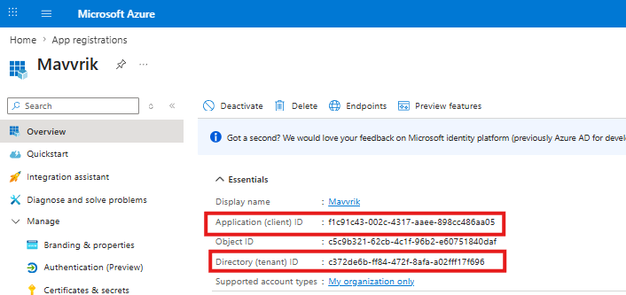 Azure application overview with tenant and client IDs