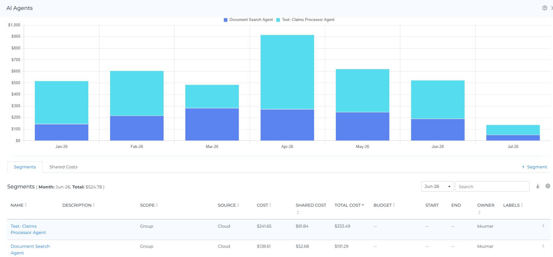 Review the newly created cost allocation segment