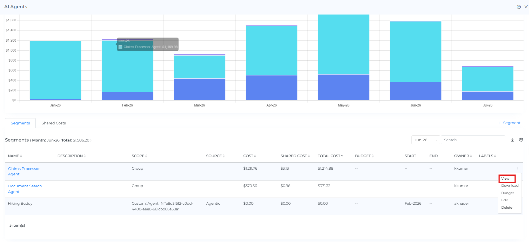 Open the allocated or unallocated segment preview
